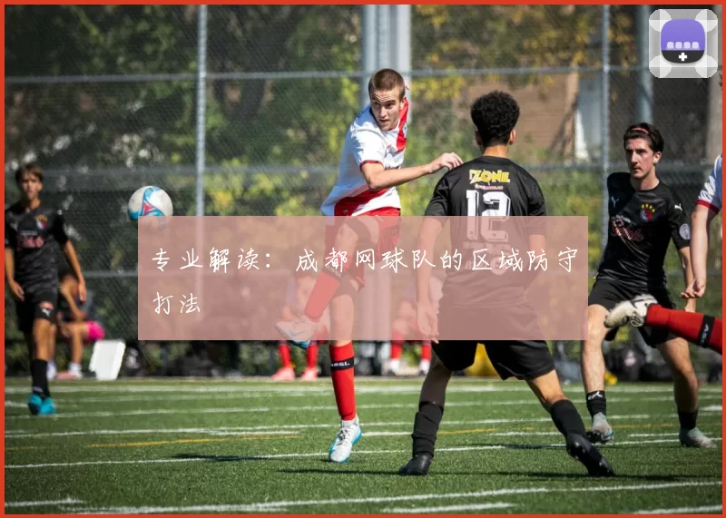 专业解读：成都网球队的区域防守打法