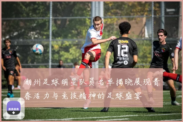 潮州足球明星队员名单揭晓展现青春活力与竞技精神的足球盛宴