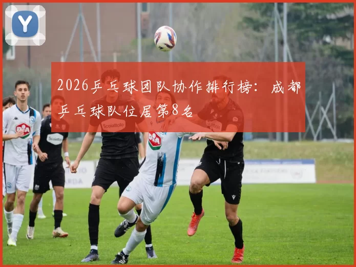 2026乒乓球团队协作排行榜：成都乒乓球队位居第8名