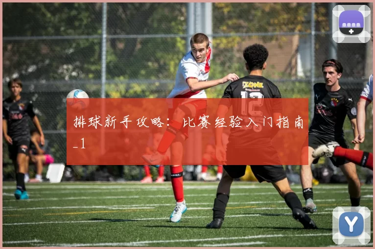 排球新手攻略：比赛经验入门指南_1