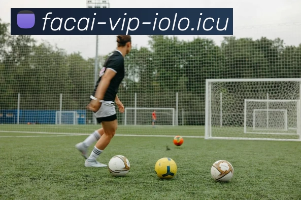 华体会体育品牌故事