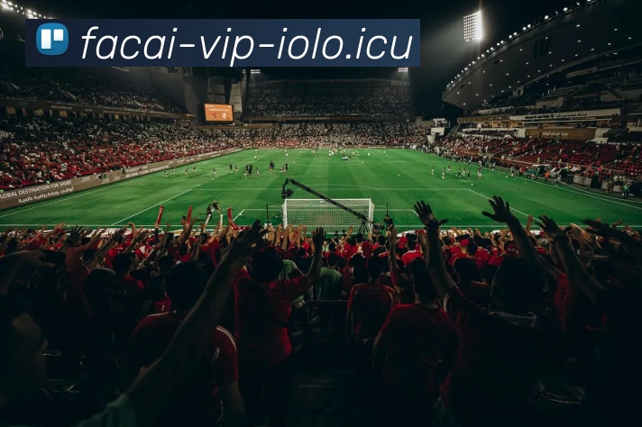 华体会体育服务体系